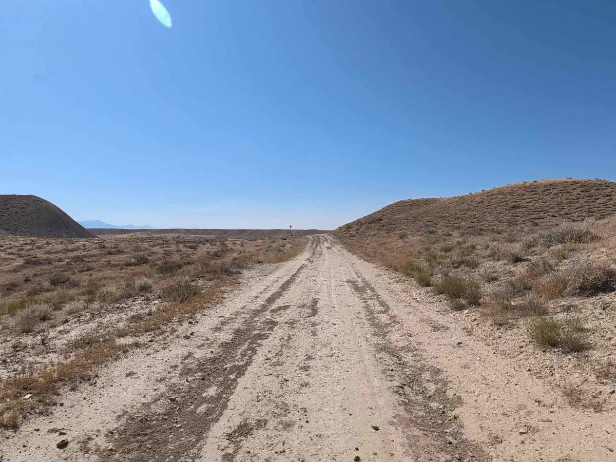 BLM 192 photo 6