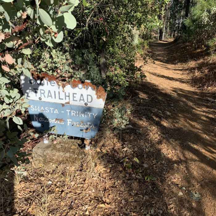 Near Bailey Cove Trail