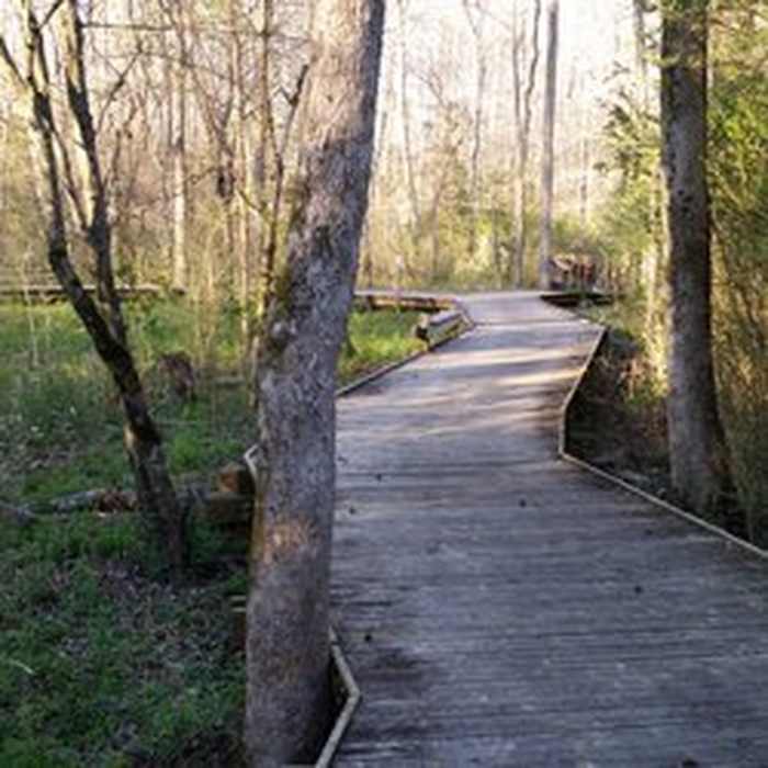 Boardwalk at Wetland Trail - River Park. Near Wetland Trail - River Park