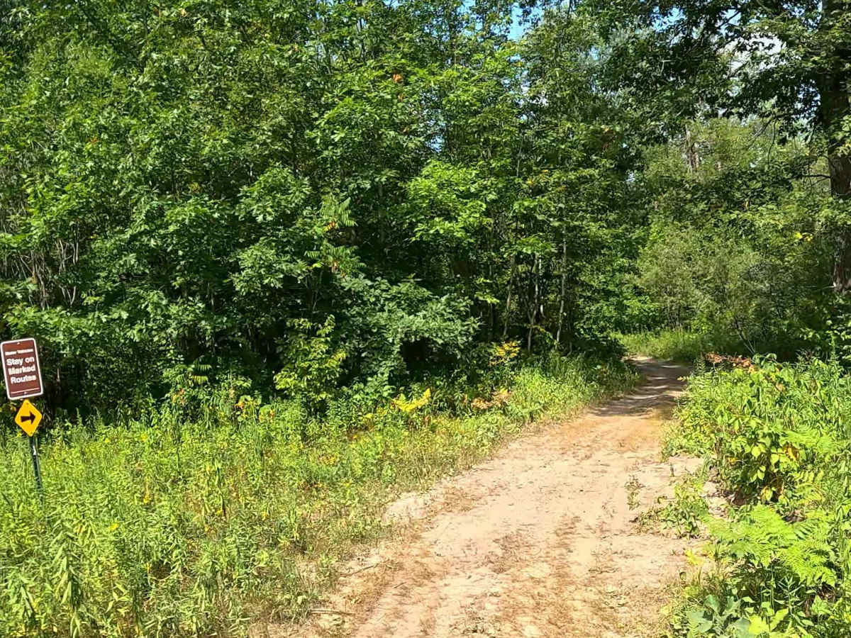 AlanDale Stem Trail photo 6