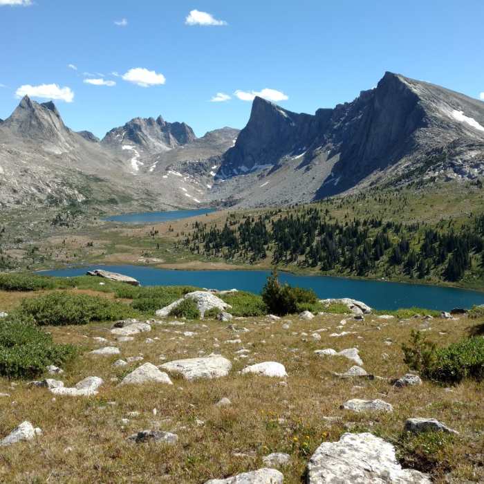 Near Bewmark Lake Trail