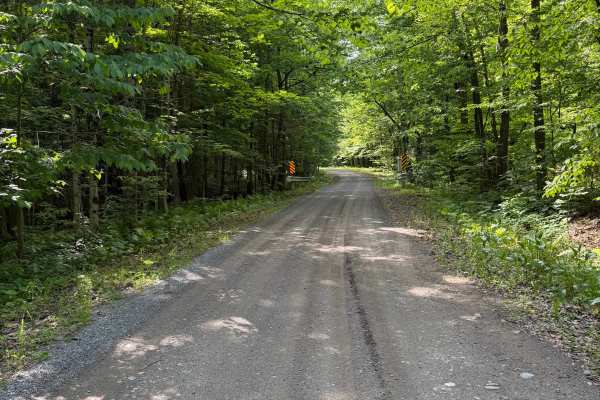 Morgan Gulf Road