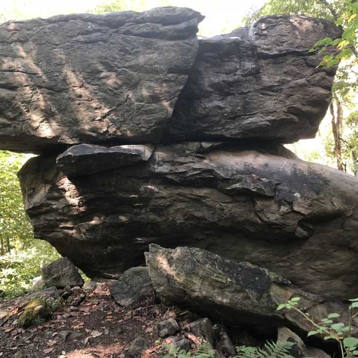 Near Loudoun Heights Out and Back