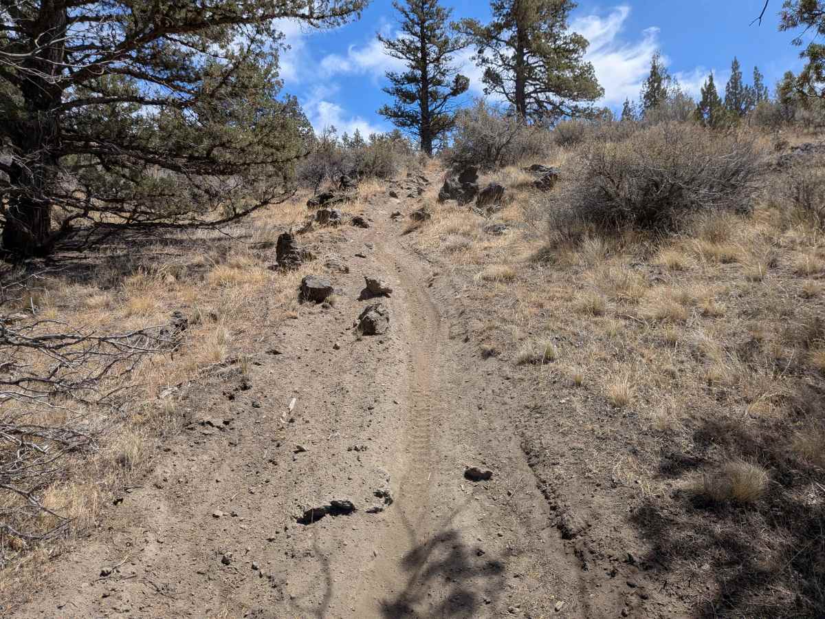 Cline Buttes OHV Trail 45 Loop trail photo