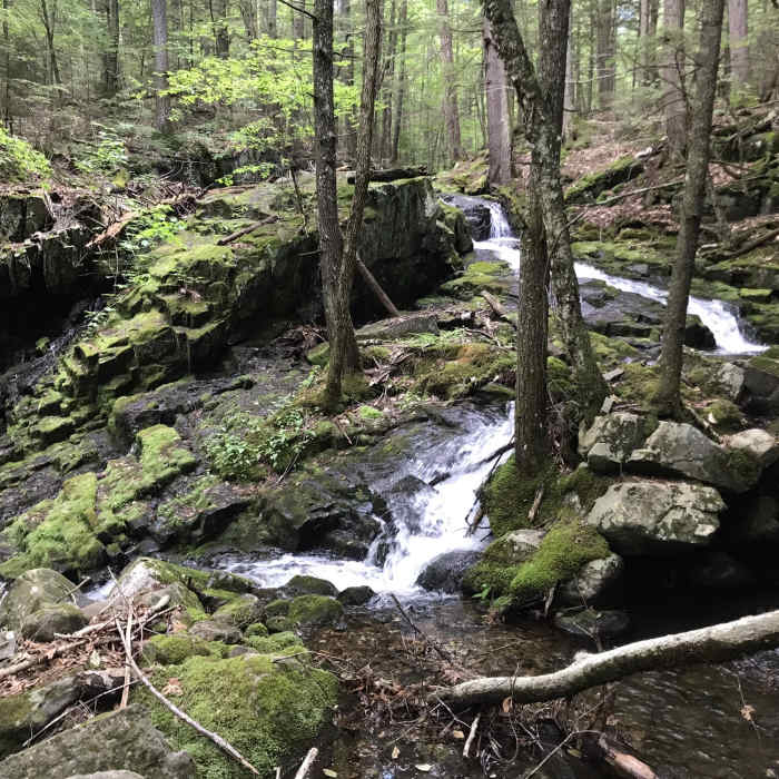 Near NH Corridor 24