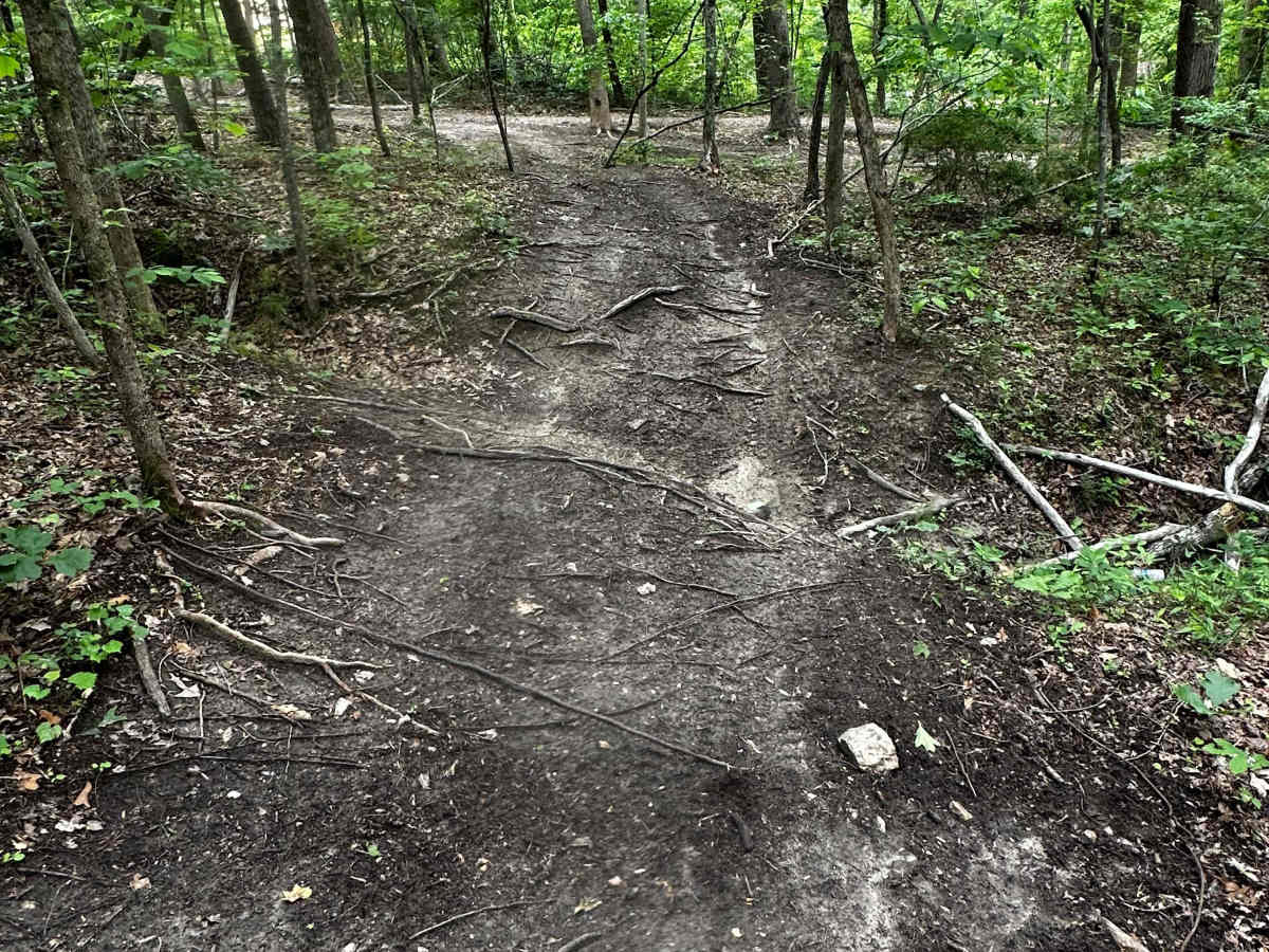 Trail 29 photo 4