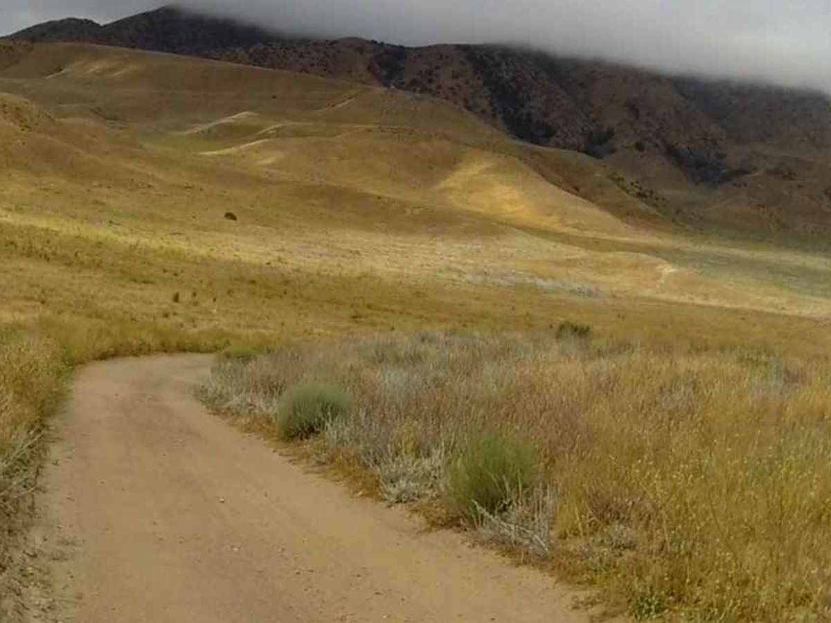 Stipa Trail photo 6