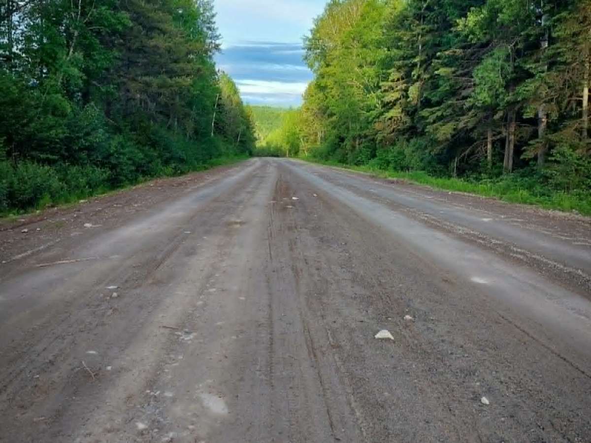 Fraser Burchill Road trail photo