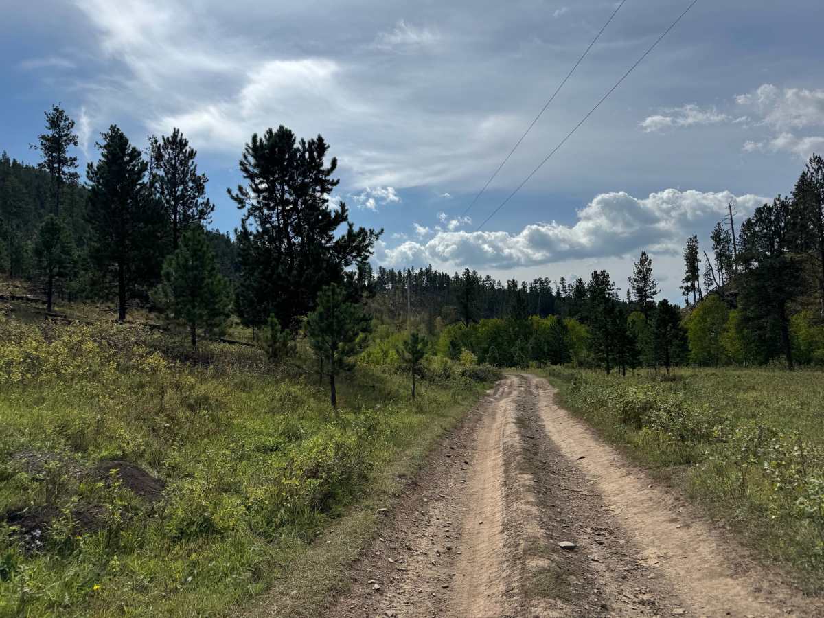 Marshall Gulch photo 6