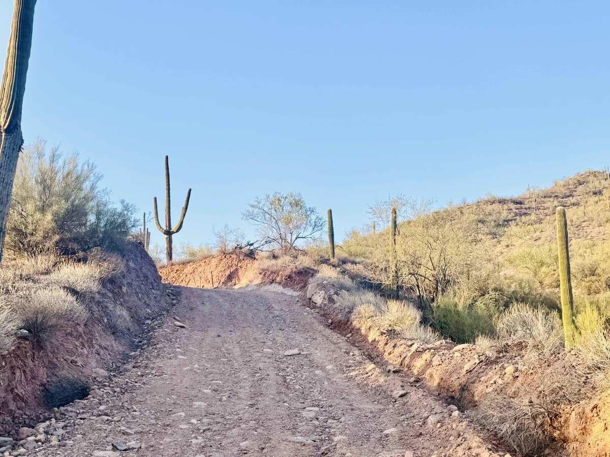 Outback Trail trail photo