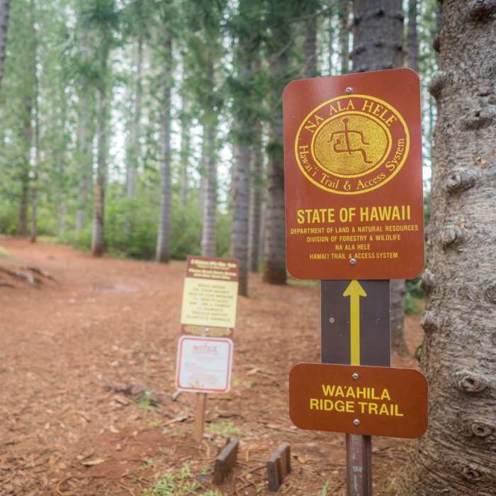 Near Mount Olympus / AwAwaloa Near Mount Olympus / AwAwaloa