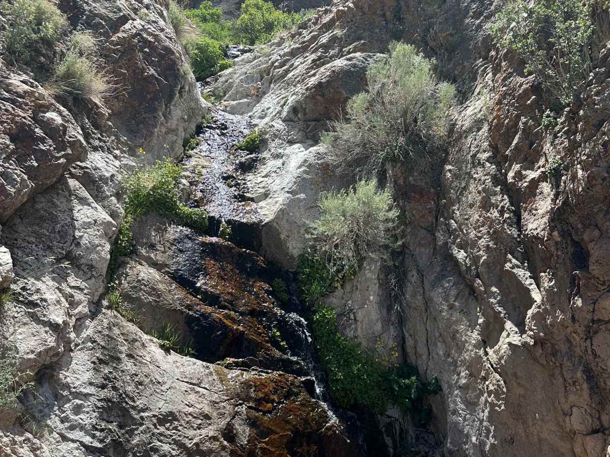 Stonewall Trailhead  trail photo