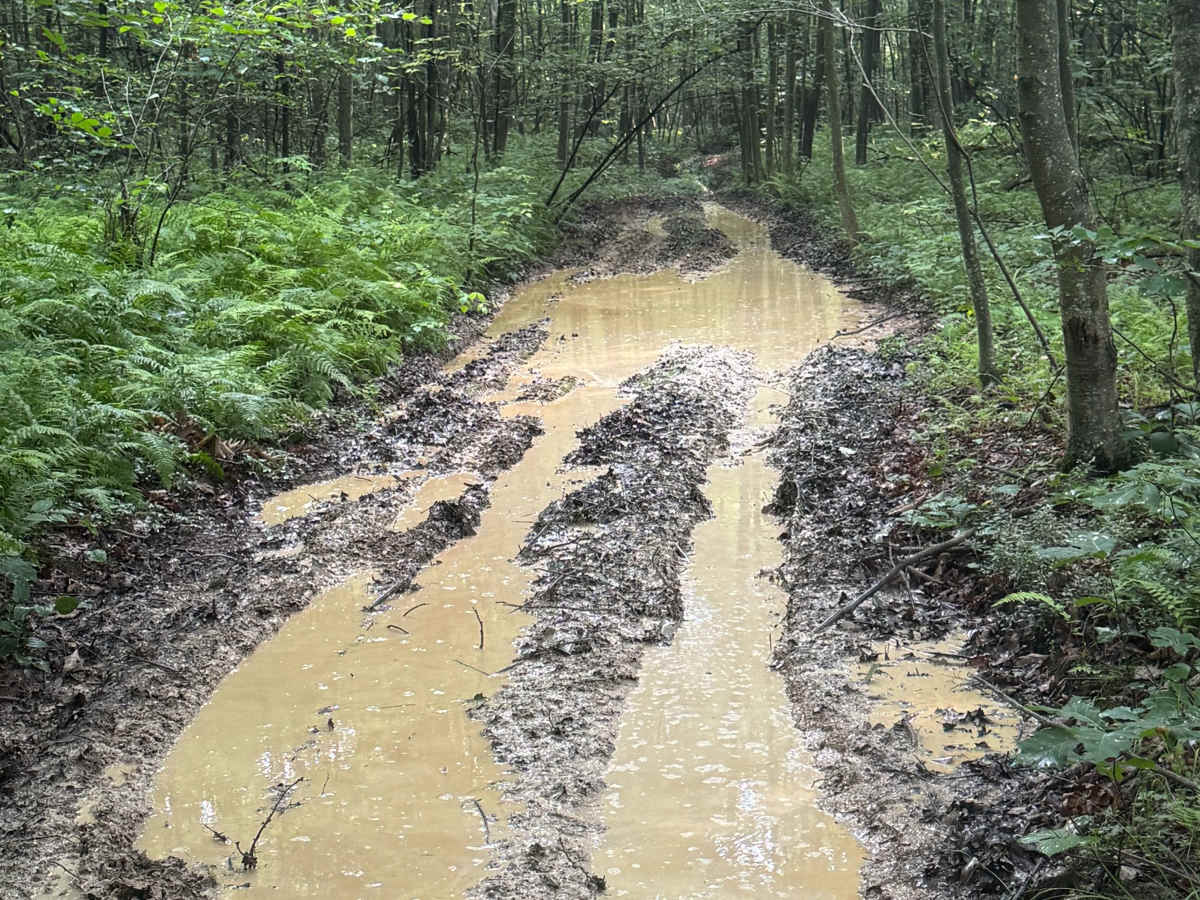 Trail 52 photo 5