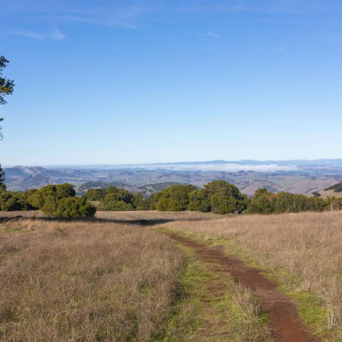 Near Mt. Burdell Preserve Loop