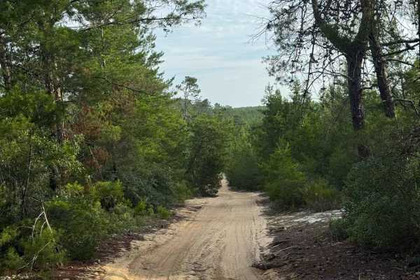 Longview Trail