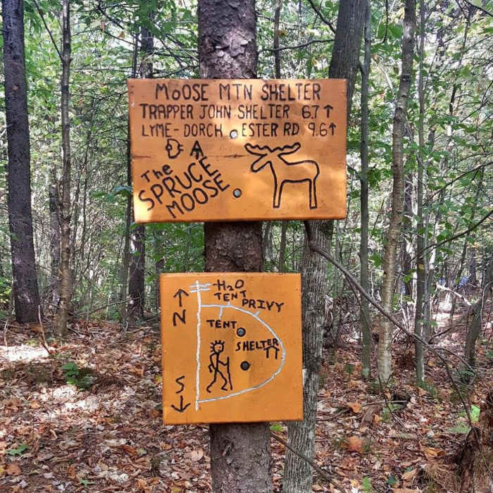 The spruce moose! :) Near Moose Mountain Trail