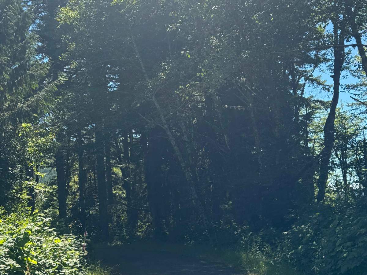 FS 1410 trail photo