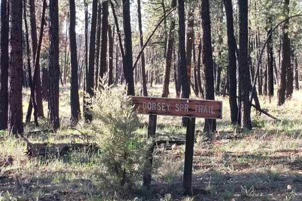 Dorsey Spring Trailhead