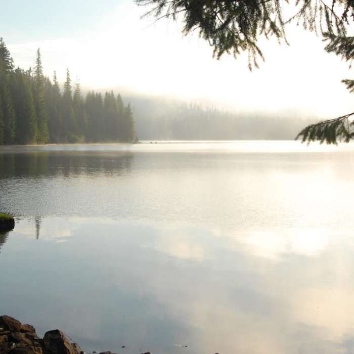 Near Timothy Lake Loop