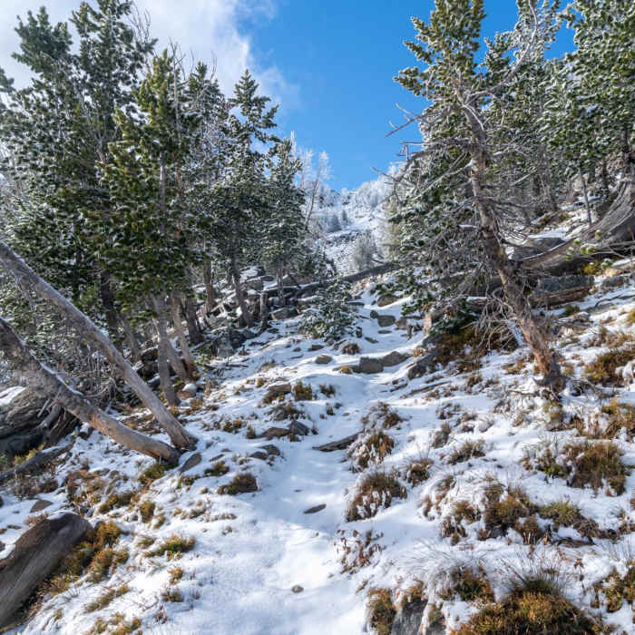 Near Leggat Mountain