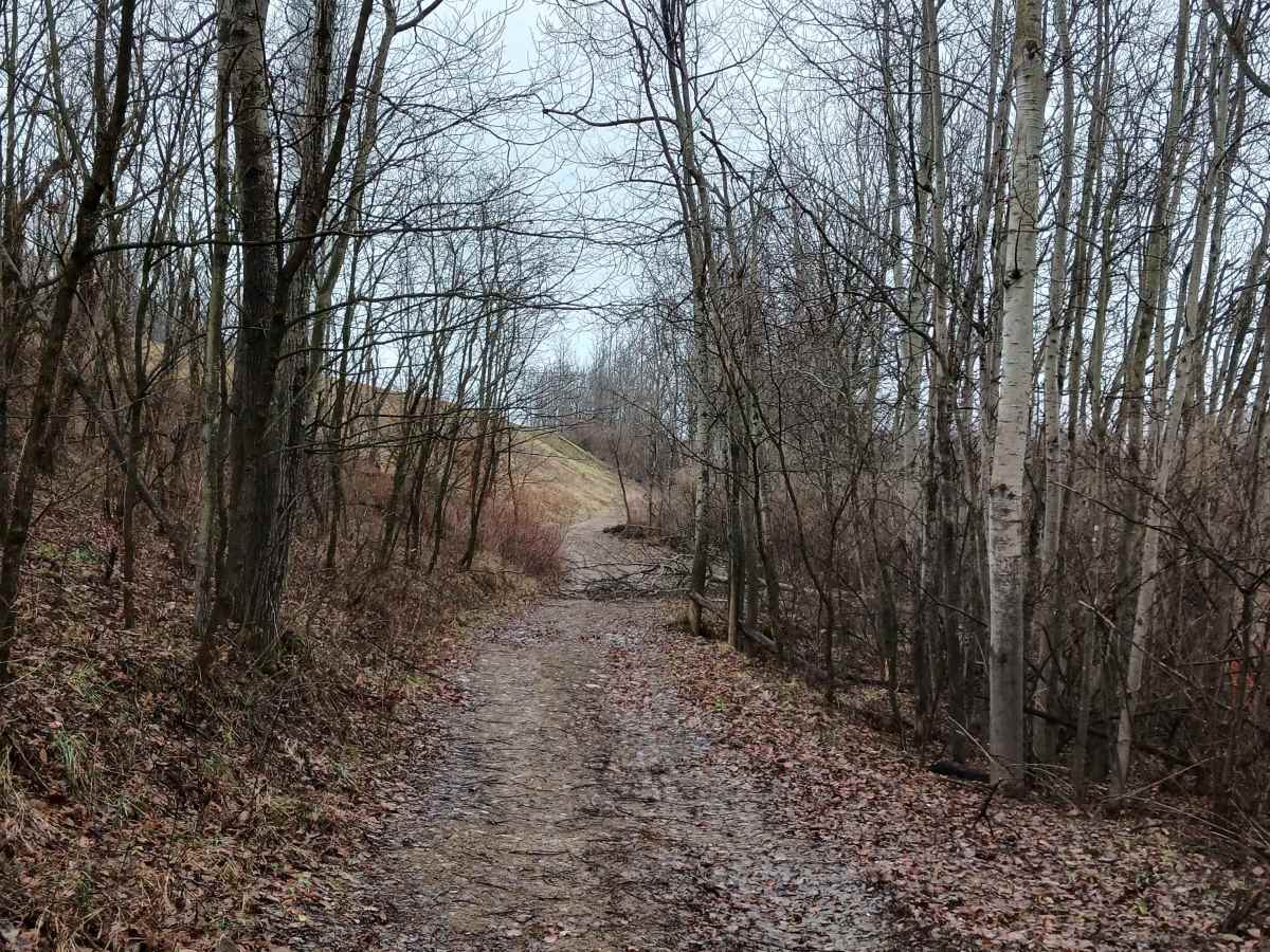 Rouge's Path - Rock Run Recreation Area photo 3