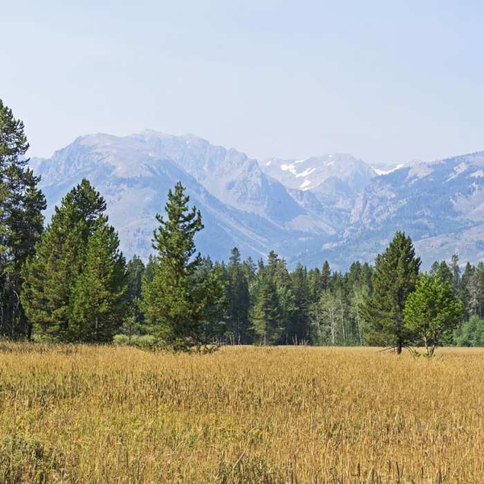 Near Arizona Creek Trail to Bailey Meadows