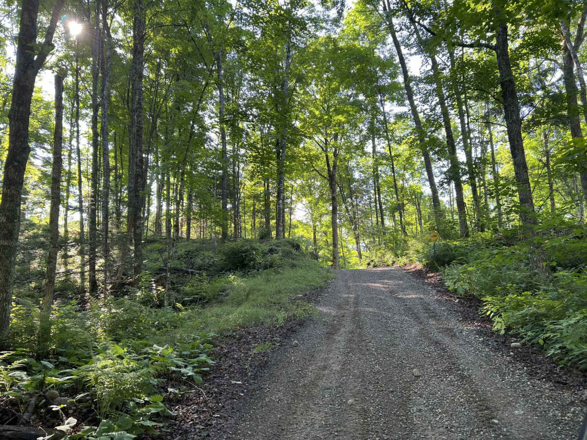 Rock Creek Road - Florence County F14 trail photo