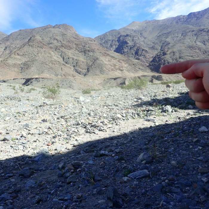 The finger points to the entrance of Willow Canyon. Near Willow Canyon (West Access)