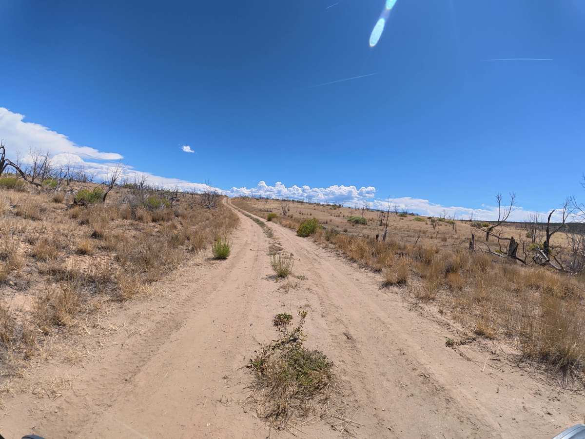 BLM 288 trail photo