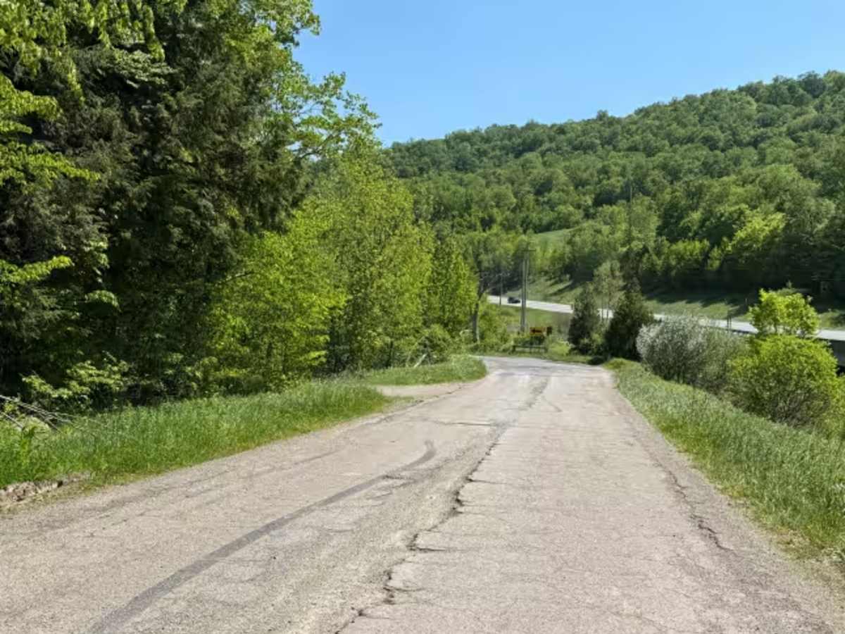 Lafayette Spring - FS 313 trail photo