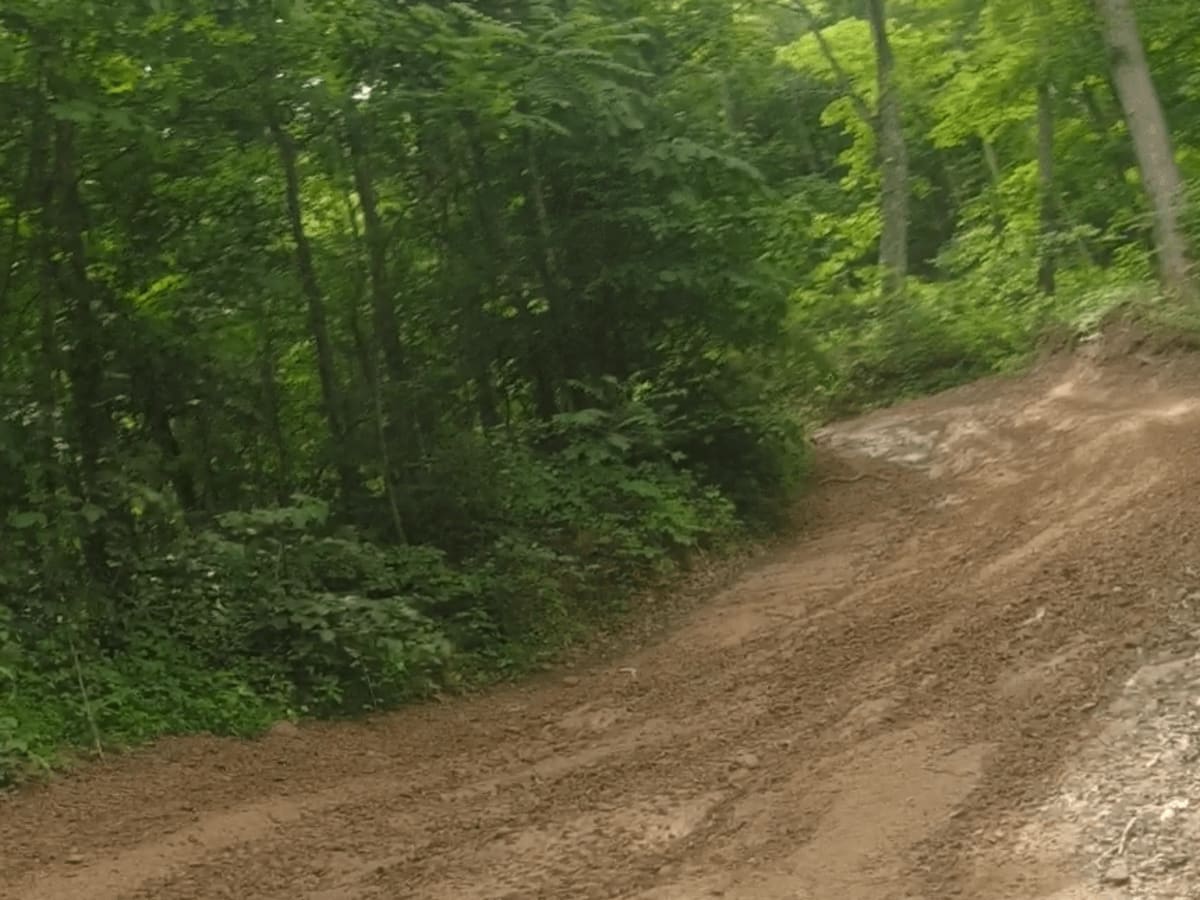 Honey Trace Hill photo 3