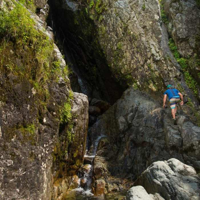 Near Roaring Brook Falls Near Roaring Brook Falls