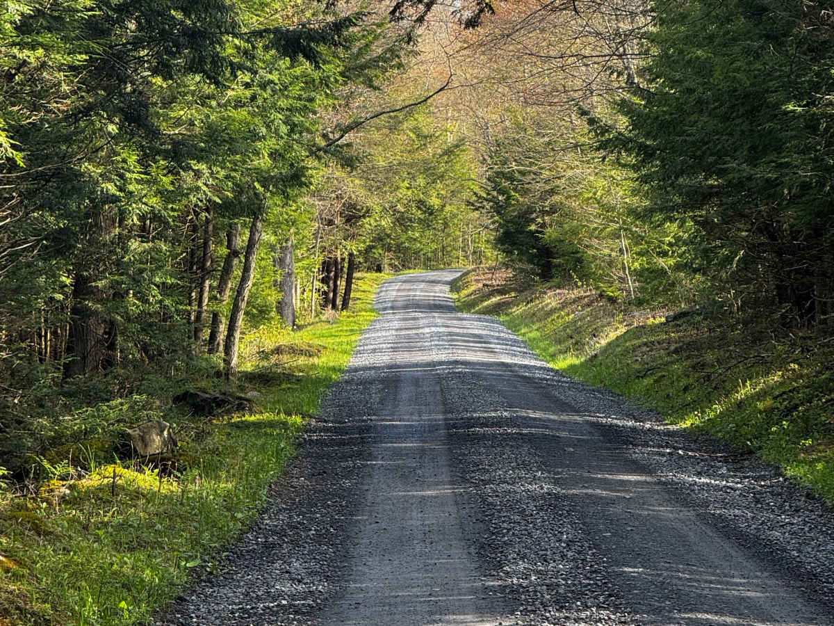 Harley Dean Road photo 6