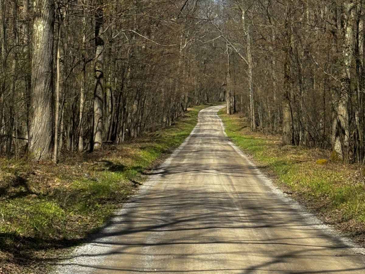 Dubeck Road photo 4