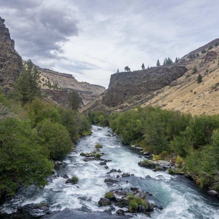 Near Alder Springs Trail #855