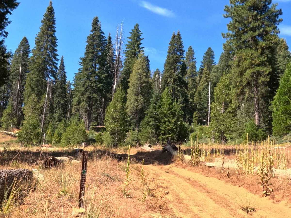 Battalion - FS 21E252 trail photo