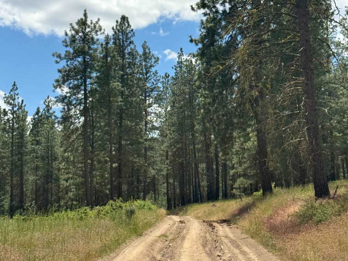 Milk Canyon Road photo 5