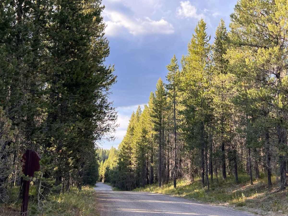 Coffee Pot trail photo