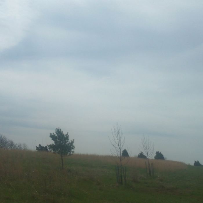 Near Manassas Battlefield Bridle Trail Loop