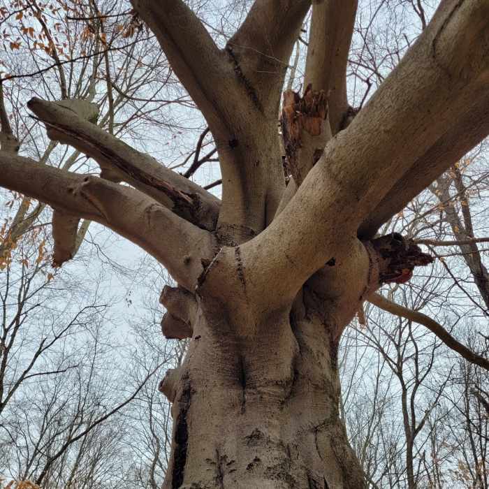 Near Stony Brook Trail