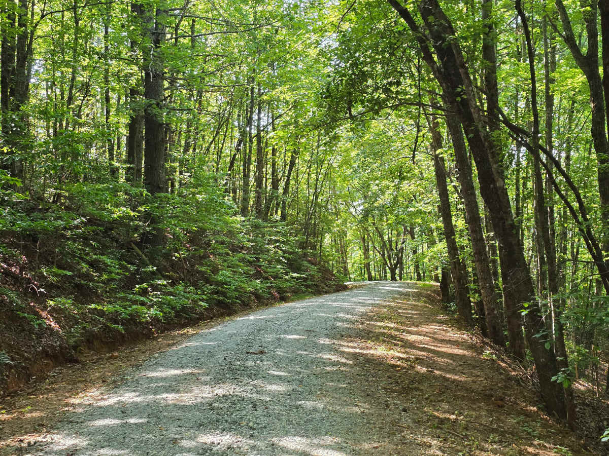 Whetstone Mountain - FS 719 photo 2