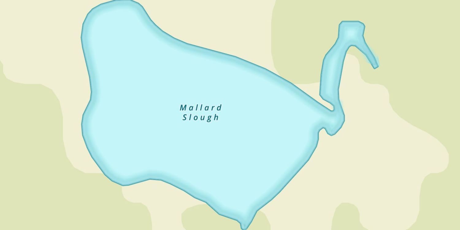 Mallard Slough