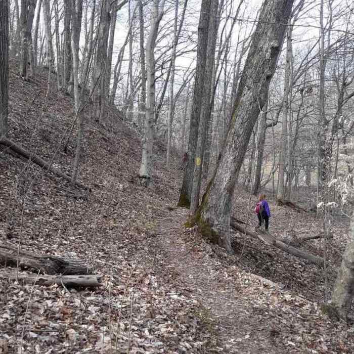 Ravine Trail Near Ravine Trail
