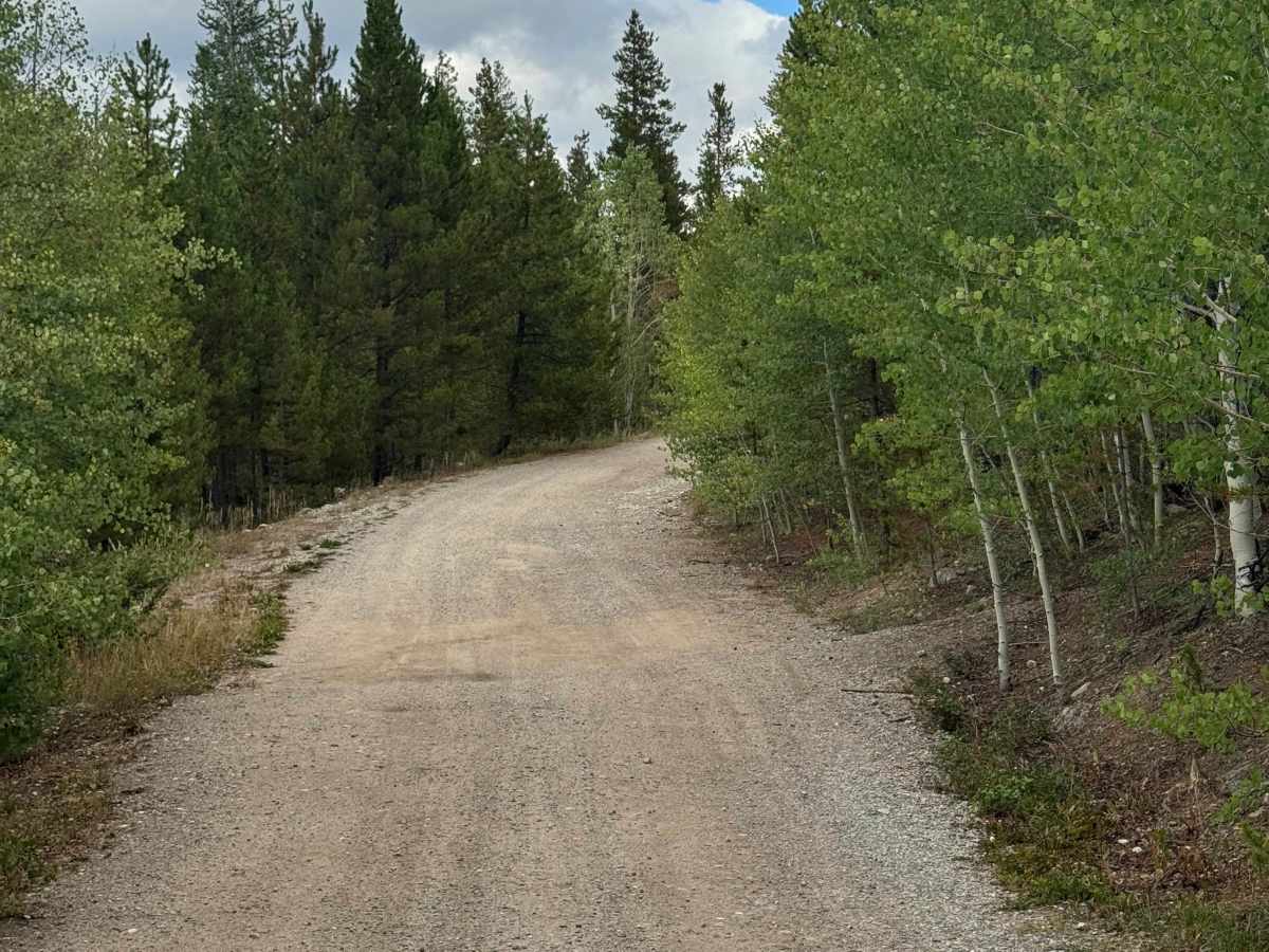 Miners Creek Road photo 3