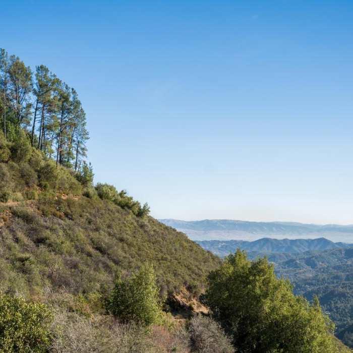 Near Knibbs Knob Near Knibbs Knob