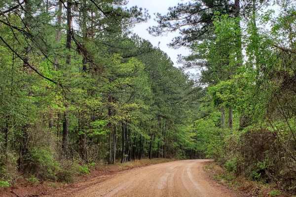 The Arkansas Overland Route - Section 9 - Norphlet Trek
