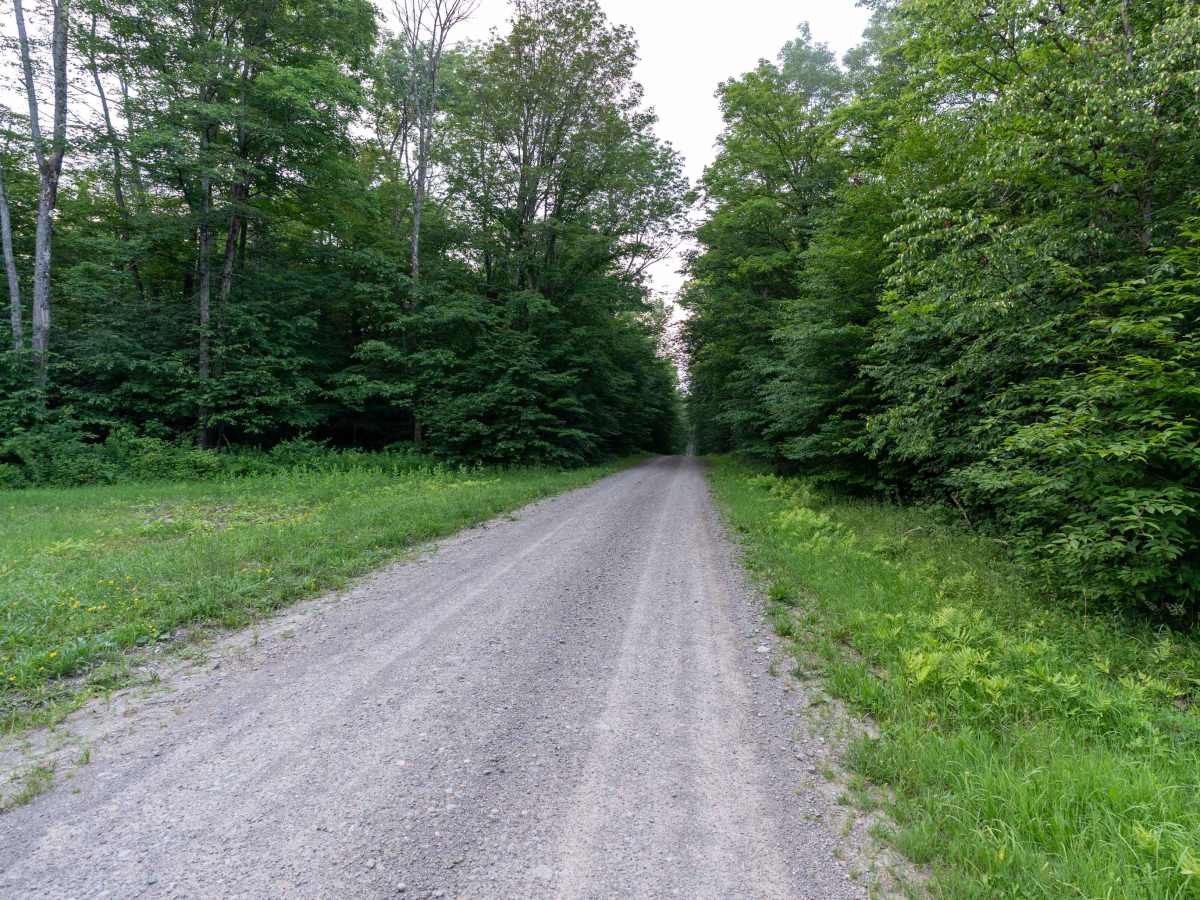 Norton Forest Road photo 4