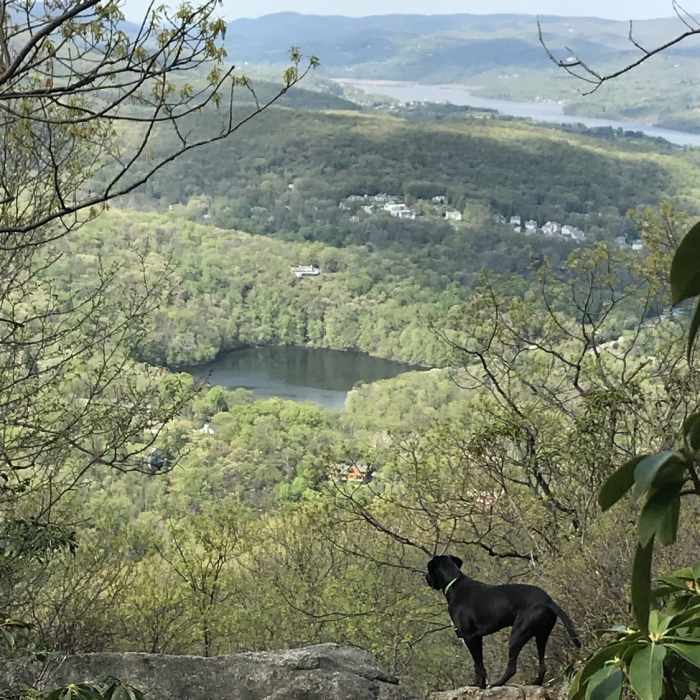 Near Major Welch Trail