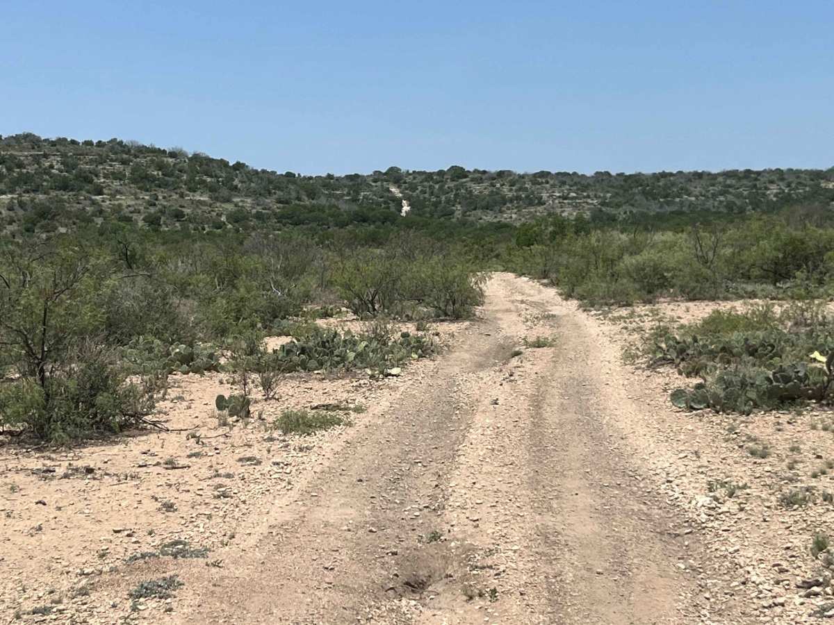 Vaquero Trail - V-28 photo 3