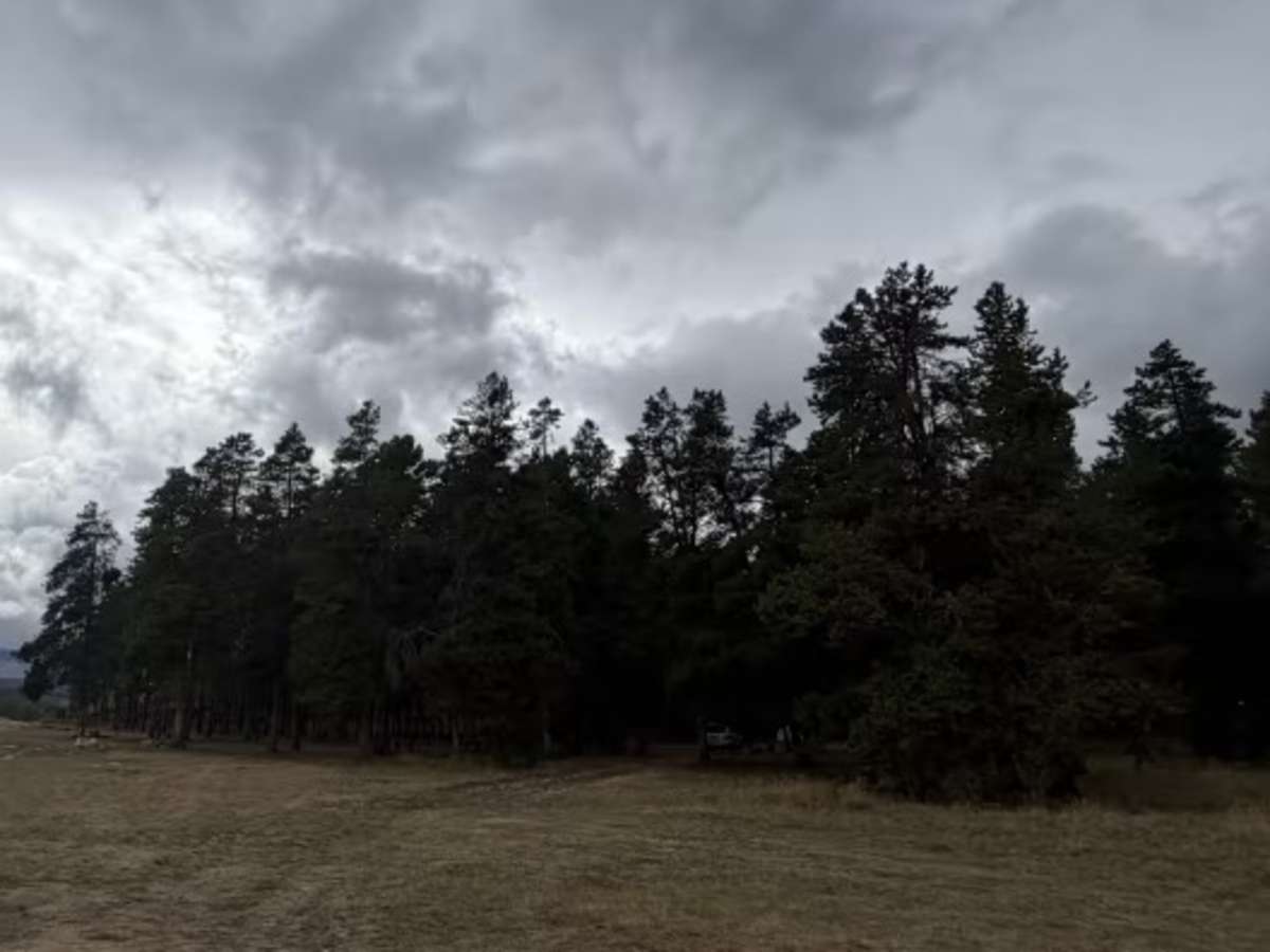 Circle Park photo 5